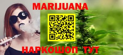 крисы Можга