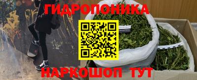 хмурый Малоярославец