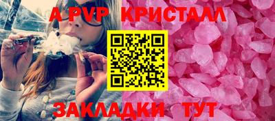 крисы Можга