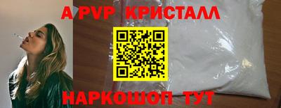 крисы Можга