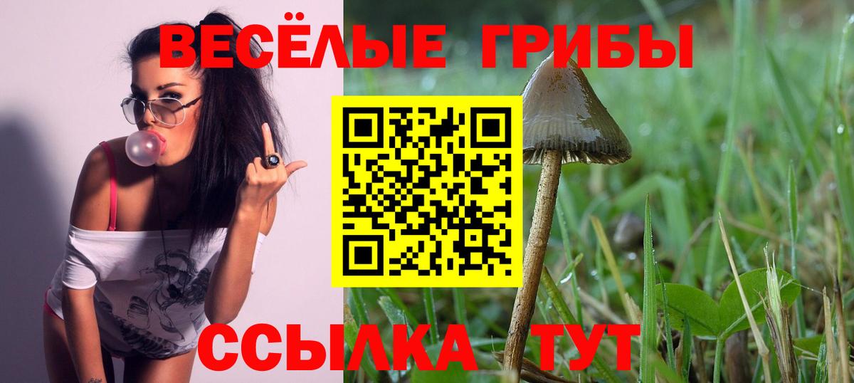 Псилоцибиновые грибы GOLDEN TEACHER Фролово